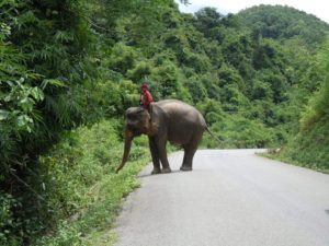 Bangalore Luxury Travel - Laos, Vietnam Cambodia Tour