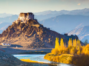 Bangalore Luxury Travel - Ladakh Monks, Lakes and Yaks Indian Tour - Luxury Tours
