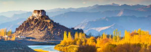 Bangalore Luxury Travel - Ladakh Monks, Lakes and Yaks Indian Tour - Travel India - Luxury Tours