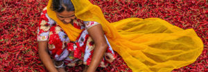 Bangalore Luxury Travel - Temples Spices Indian Tour - Travel India - Luxury Tours - Tour of India